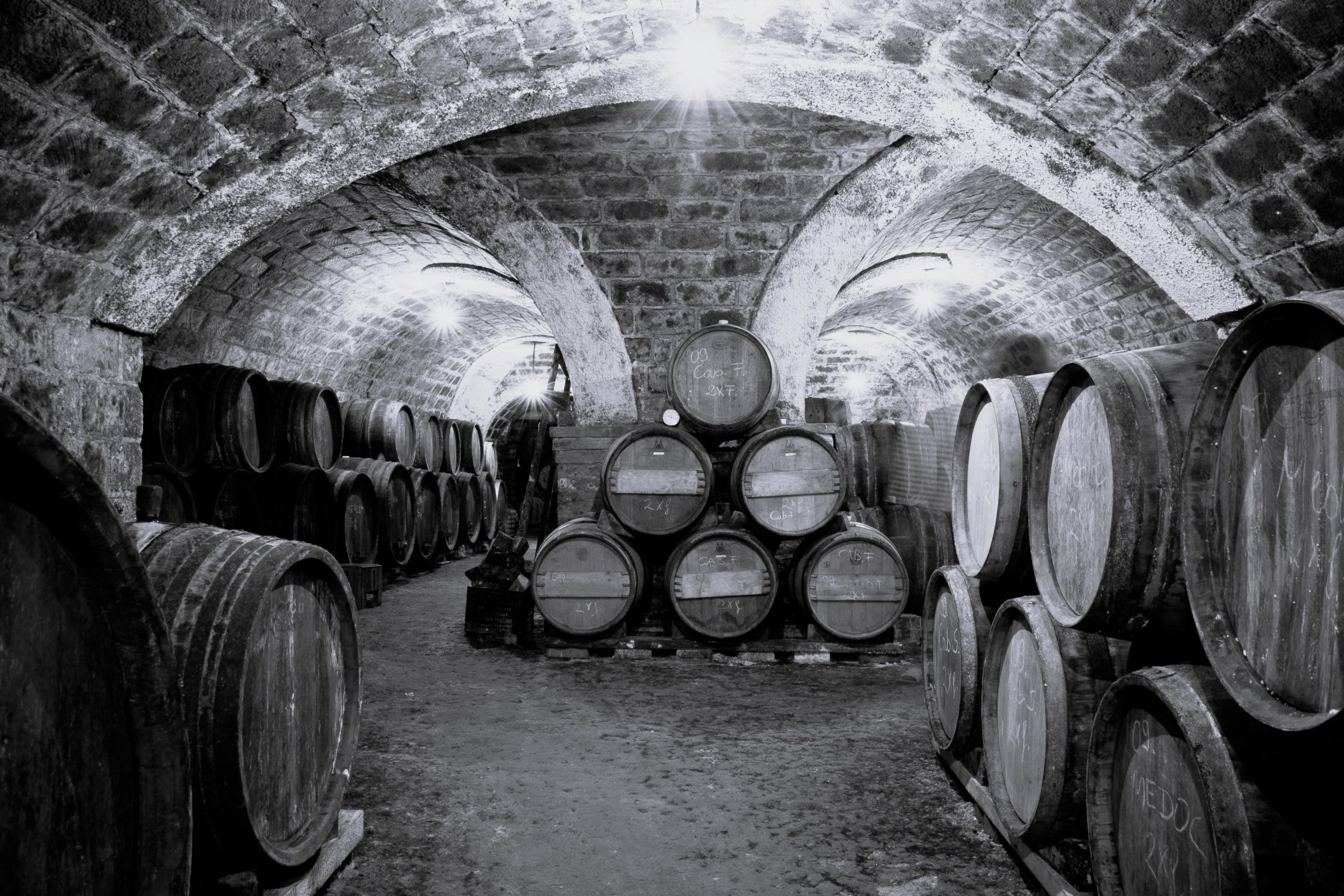 Barils de vins dans une cave à vins